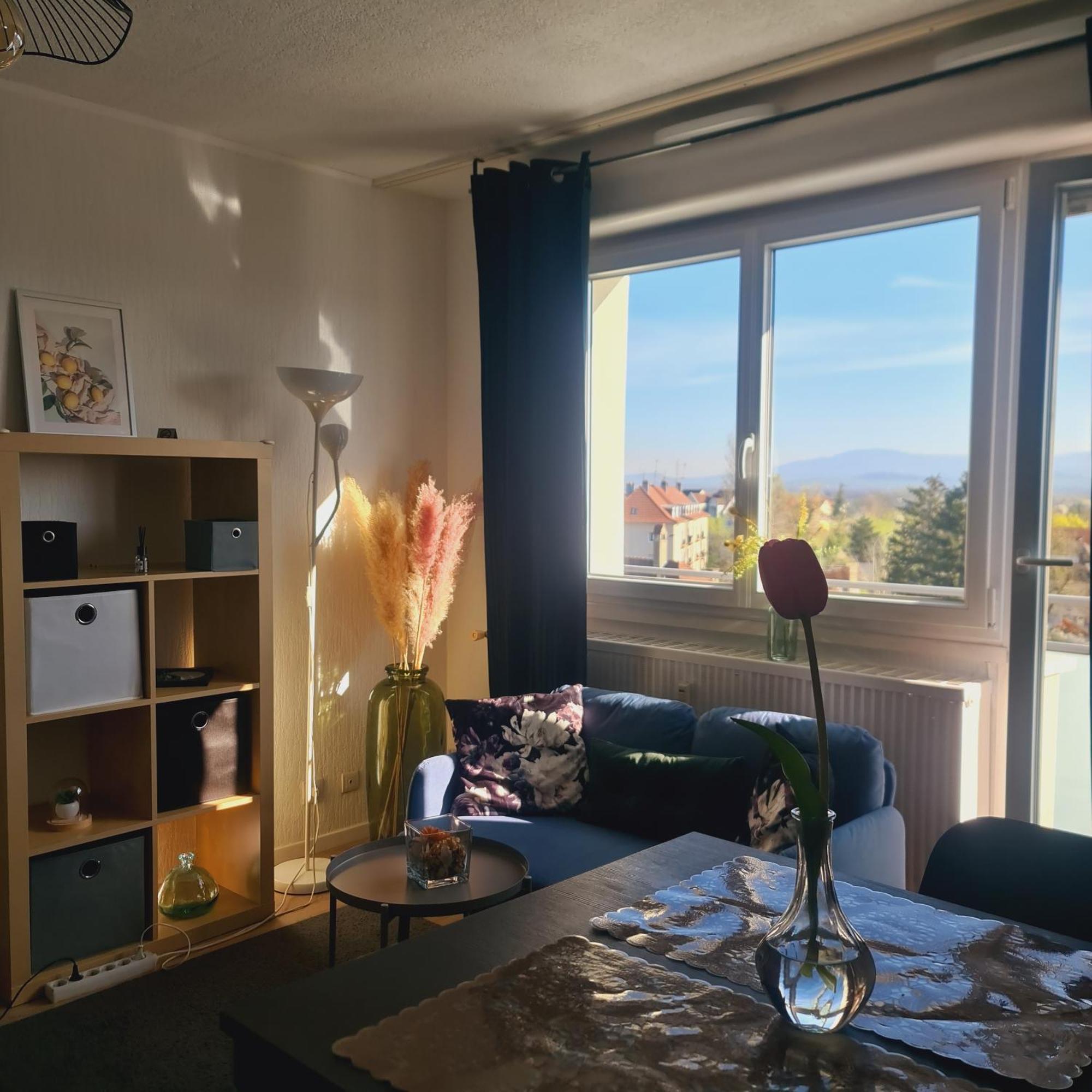 Studio Kaan Avec Terasse 5Mn Basel Airport Saint-Louis  Buitenkant foto